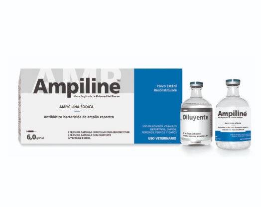 Ampiline Large X Ampolla - Richmond