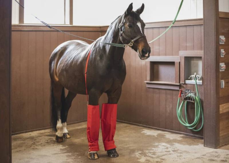 Bota Para Hielo V Larga El Par - Talabarteria