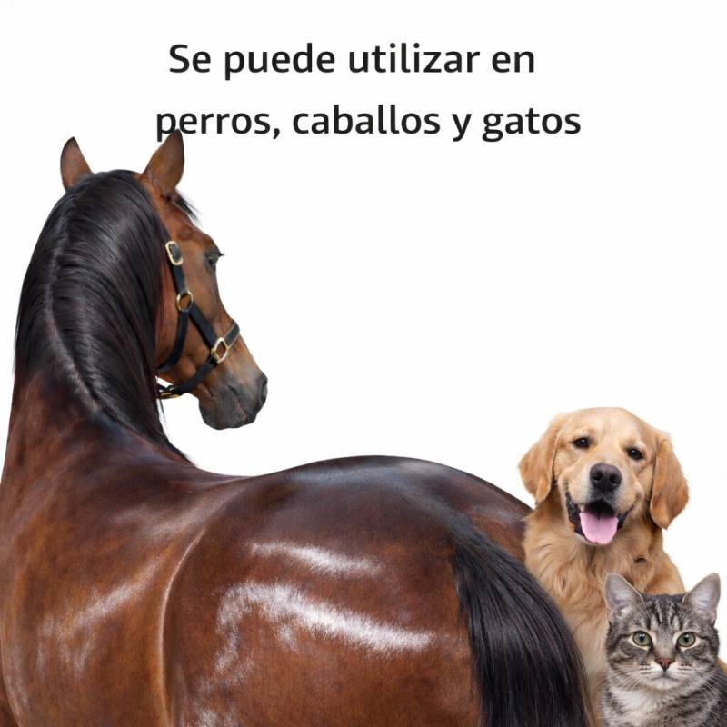 1767880432325.jpg
