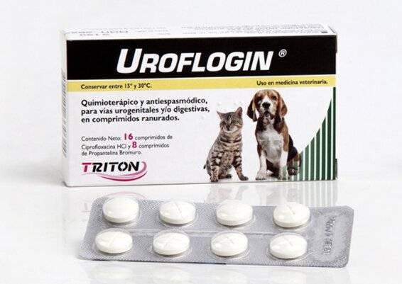 Uroflogin X 24 Comp. - Triton