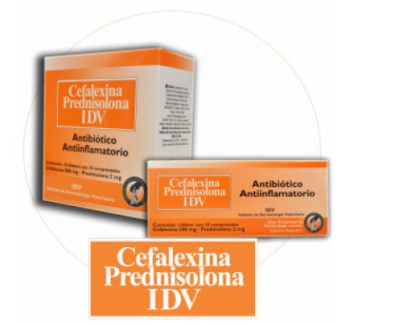 Cefalexina - Predni X Blister (10 Comp.) - Idv