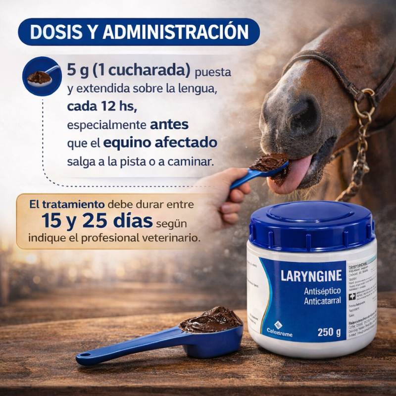 1773312687261.jpg