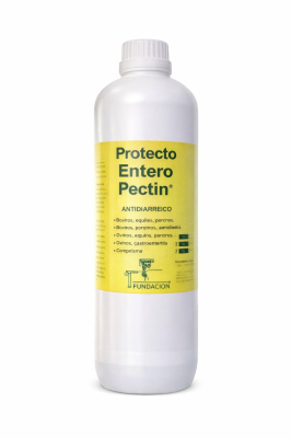 Protecto Entero Pectin 900 Ml  Antidiarreico - Fundacion