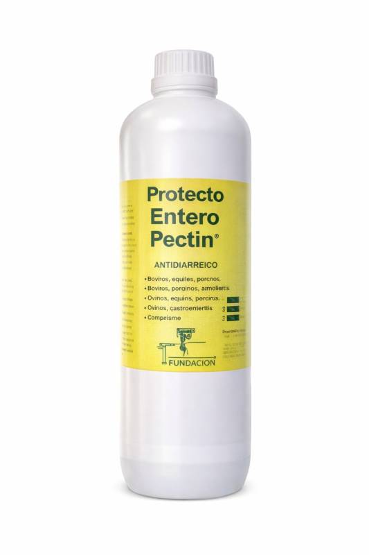 Protecto Entero Pectin 900 Ml  Antidiarreico - Fundacion