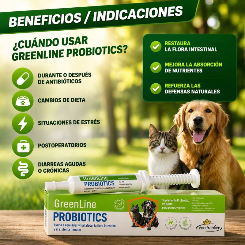 1776435839505.jpg
