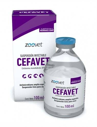 Cefavet (Cefalexina ) 100 Ml. - Zoovet