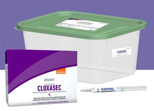 Cloxasec ( Cloxaciclina Benzatínica) X Jeringa - Zoovet
