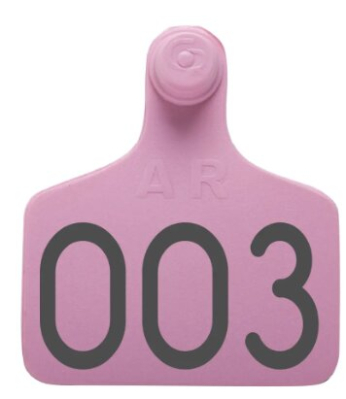 Carav. Grande Numerada Rosada X Unid - Argent Flex