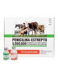 Tecnofarm - Penicilina Estrepto X Ampolla