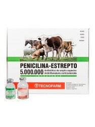 Tecnofarm - Penicilina Estrepto X Ampolla