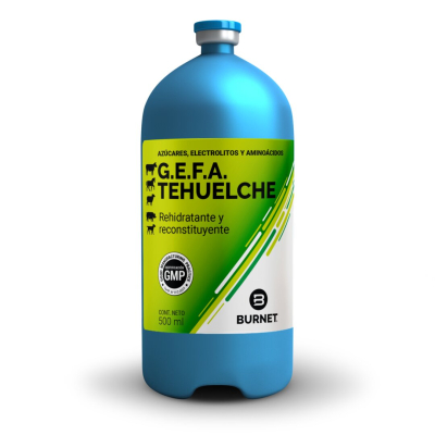 Gefa Tehuelche X 500 Rehidratante  - Burnet